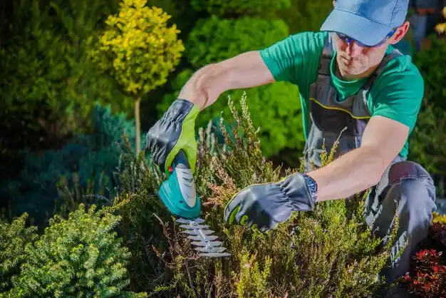 landscaping services Petal